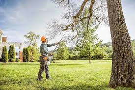 Lawn Renovation and Restoration in Sea Ranch, CA